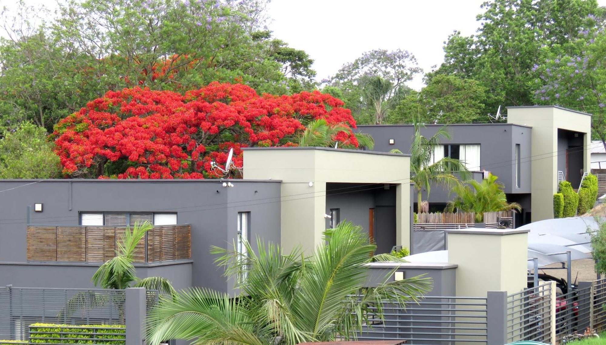The Executive - Exclusive Self-Catering Apartments - Ezulwini Bagian luar foto